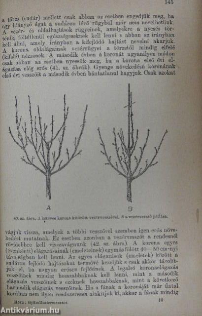 Gyümölcstermesztés (rossz állapotú)