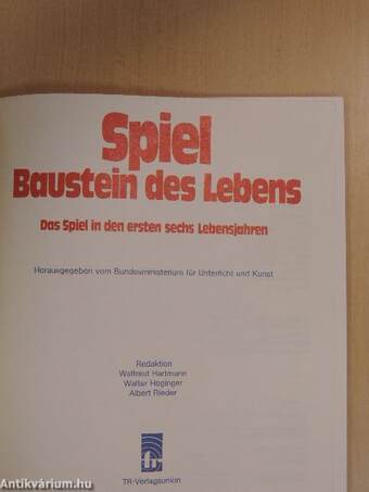 Spiel Baustein des Lebens