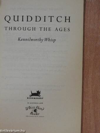 Quidditch through the ages