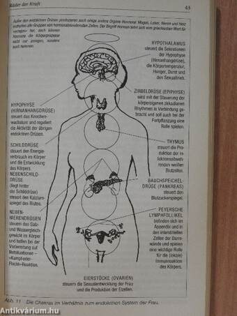 Das Geheimnis der Chakras