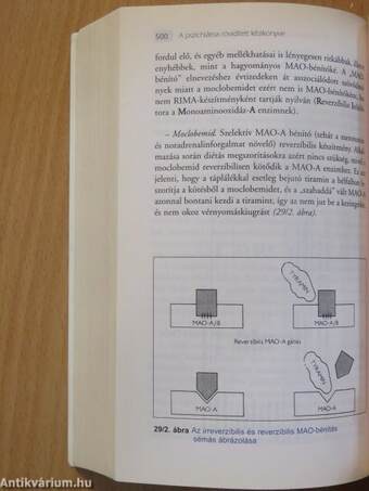 A pszichiátria rövidített kézikönyve