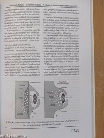 Magyar Tudomány 2004. október