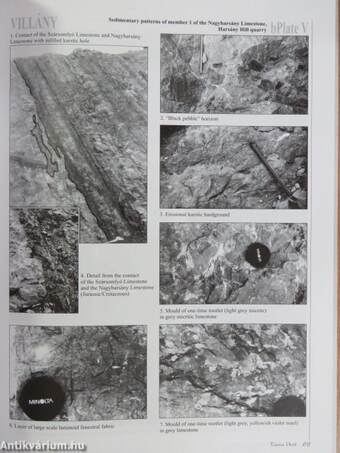 Geologica Hungarica - Series Geologica 25.