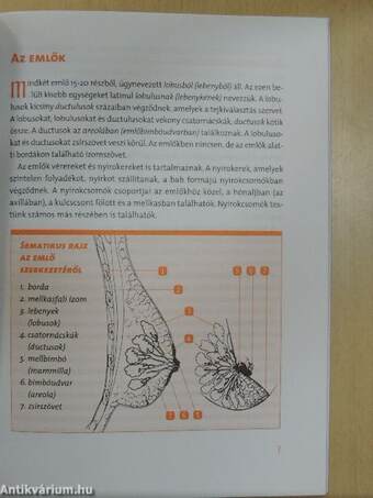 Amit az emlőrákról tudni kell