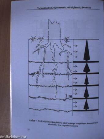 Tartamkísérletek, tájtermesztés, vidékfejlesztés I-II.