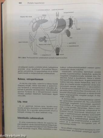 Hepatológia - CD-vel