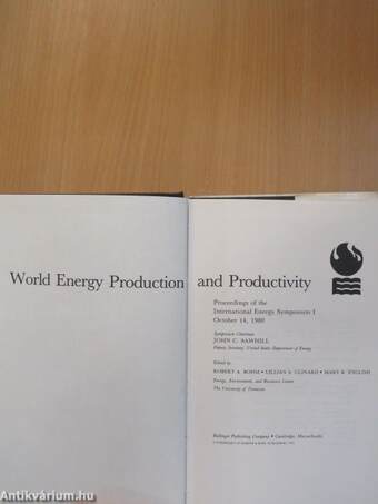 World Energy Production and Productivity