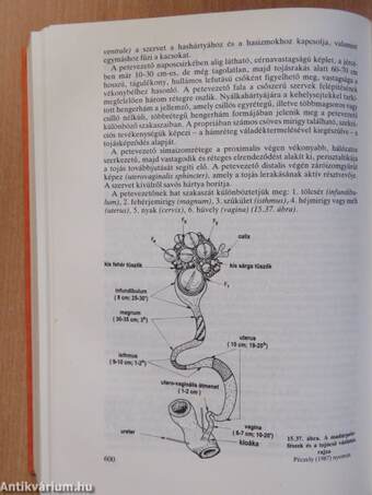 A háziállatok élettana és anatómiája