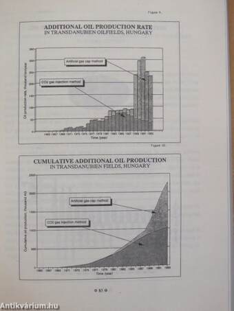 Hungarian Mining in the 20th Century