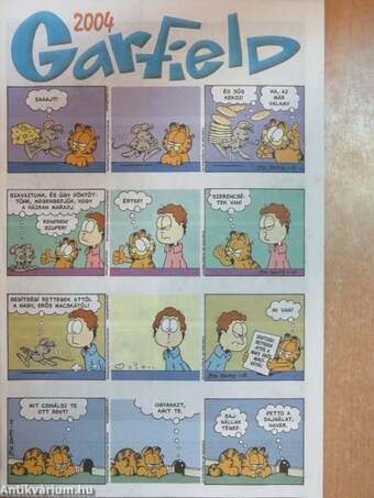 Garfield 2005/1. január