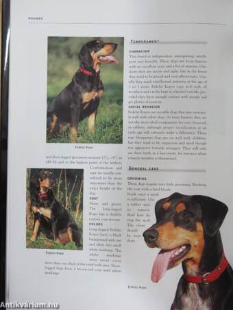 The Complete Encyclopedia of Dogs