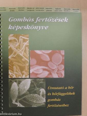 Gombás fertőzések képeskönyve