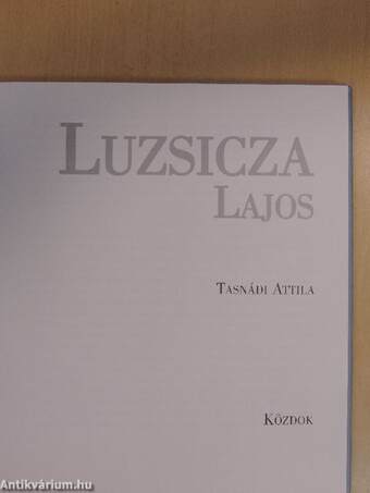 Luzsicza Lajos életútja és alkotói munkássága