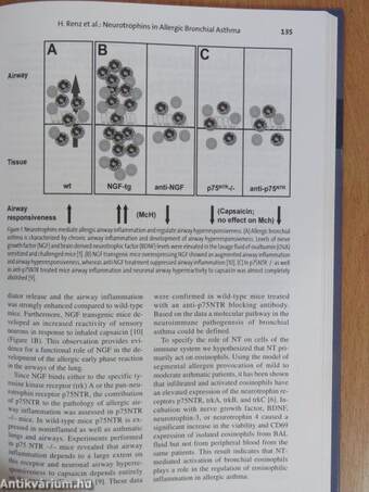 From Genes to Phenotypes