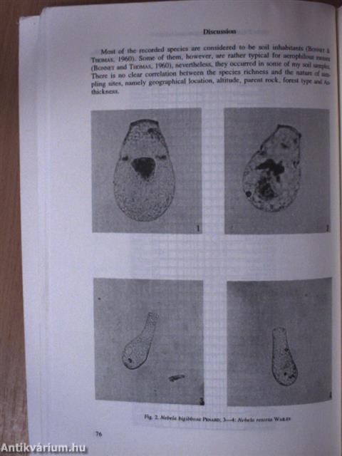 Opuscula Zoologica XXVII-XXVIII.