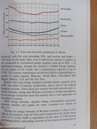 Russia in the World Energy of the XXI. Century