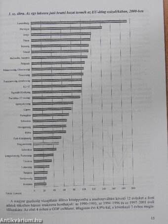 A munka termelékenysége a magyar gazdaságban