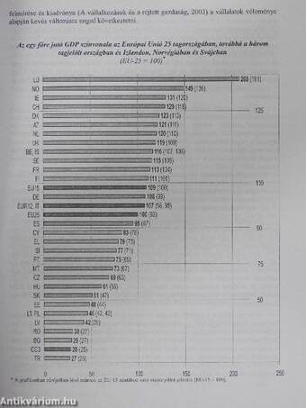 Termelékenységünk és versenyképességünk az EU-csatlakozás küszöbén