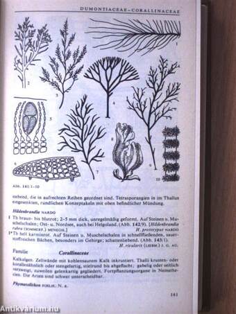 Exkursionsflora für die Gebiete der DDR und der BRD 1.