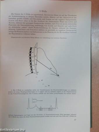 Grundriss und Atlas der Elektrokardiographie