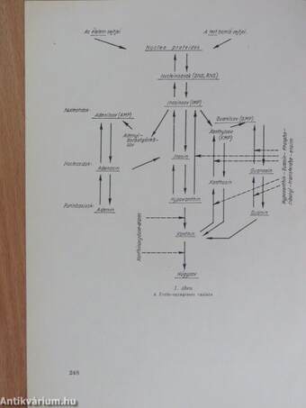 Köszvényes vasutasok korszerű therapiája és prophylaxisa