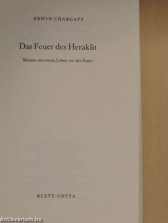 Das Feuer des Heraklit