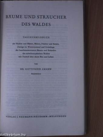 Bäume und Sträucher des Waldes