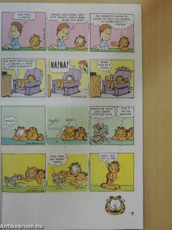 Garfield 1999/1.