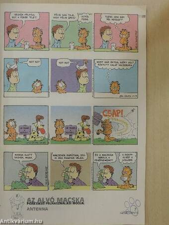 Garfield 2001/10. október