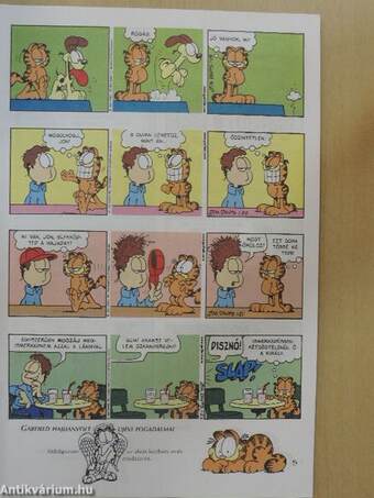 Garfield 2000/1. január