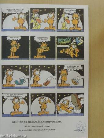 Garfield 2001/2. február