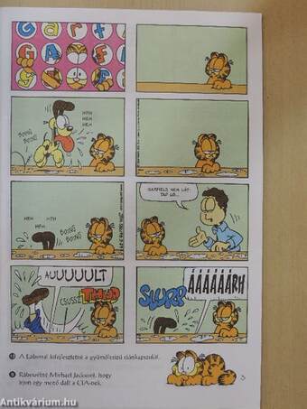 Garfield 2000/5. május