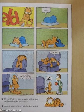 Garfield 2000/5. május