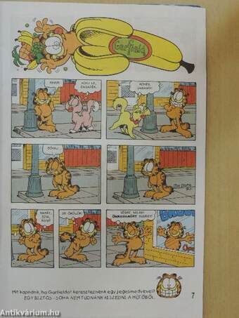 Garfield 1998/9.