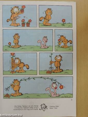 Garfield 1996/5.