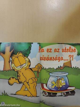 Garfield 2005/3. március