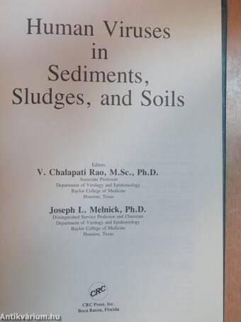 Human Viruses in Sediments, Sludges, and Soils