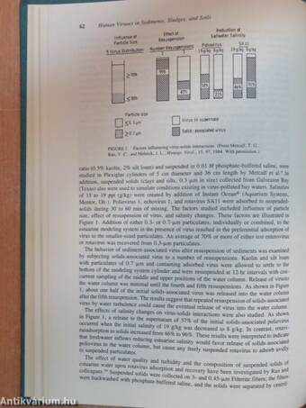 Human Viruses in Sediments, Sludges, and Soils