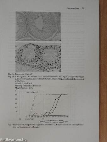 Antiandrogen-Estrogen Therapy for Signs of Androgenization