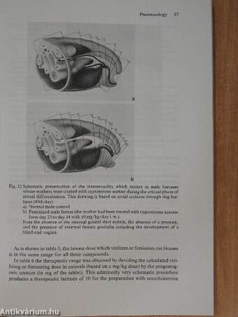 Antiandrogen-Estrogen Therapy for Signs of Androgenization