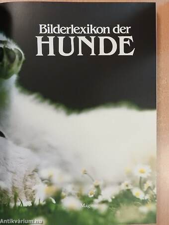 Bilderlexikon der Hunde