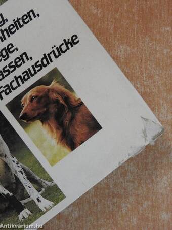 Bilderlexikon der Hunde