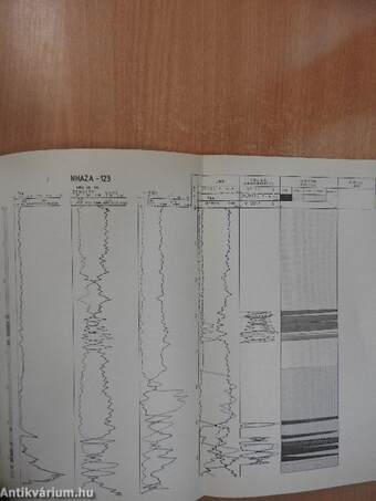 A Magyar Állami Eötvös Loránd Geofizikai Intézet 1982. évi jelentése