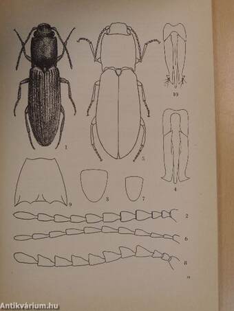 Folia Entomologica Hungarica 1/1983.