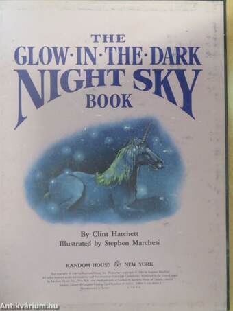 The glow in the dark night sky book