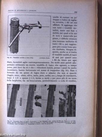 Viticoltura per le uve da tavola con riferimento anche ai sistemi colturali per le uve da vino (Kozma Pál könyvtárából)