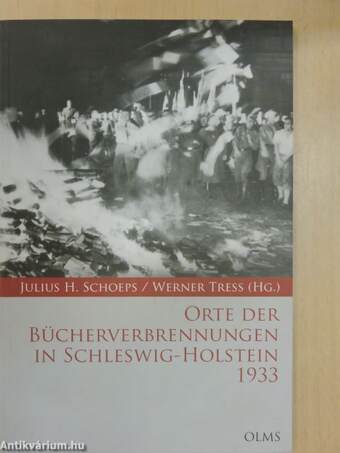 Orte der Bücherverbrennungen in Schleswig-Holstein 1933