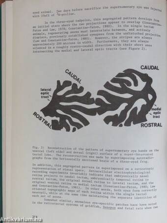 Neural Communication and Control