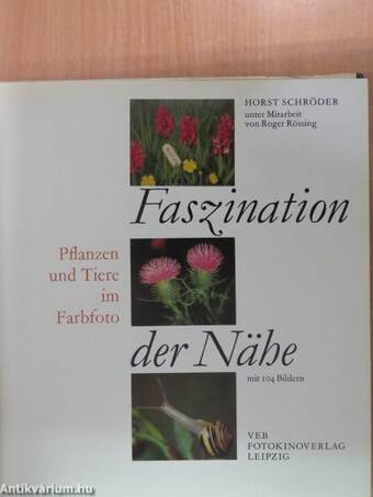 Faszination der Nähe