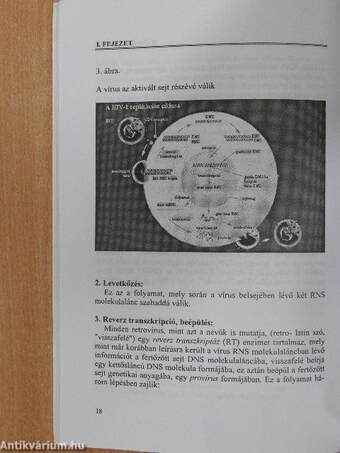 Az AIDS egészségügyi, prevenciós, kulturális és társadalomtudományi megközelítése